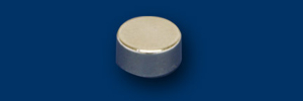 Magnete 8X5 2Stück NSR 4828