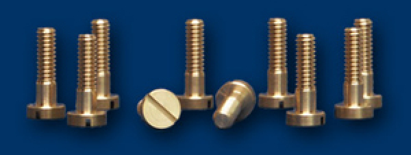 NSR Metrische Karosserieschrauben (M2.2x8mm) 10 Stück 4836