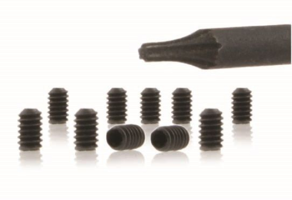 Slot it Torx T3 Madenschrauben M2 10Stück PA66